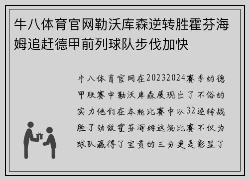 牛八体育官网勒沃库森逆转胜霍芬海姆追赶德甲前列球队步伐加快